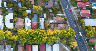 A road with trees and houses